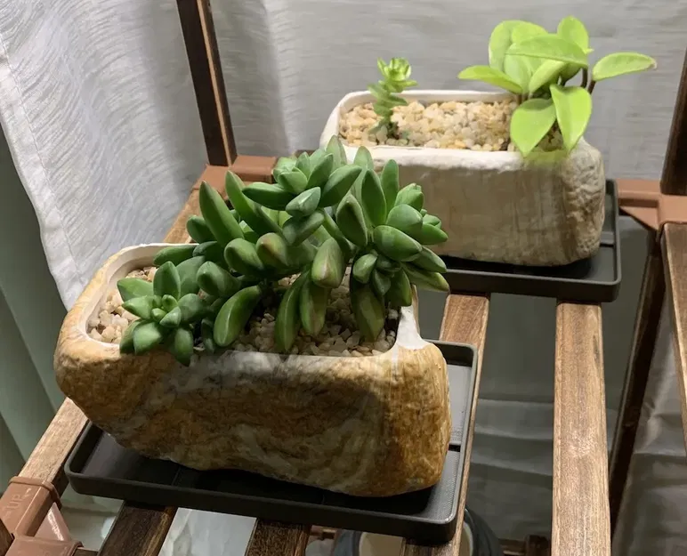 Đế Chậu Hoa Mọng Nước Hình Chữ Nhật - Image 2