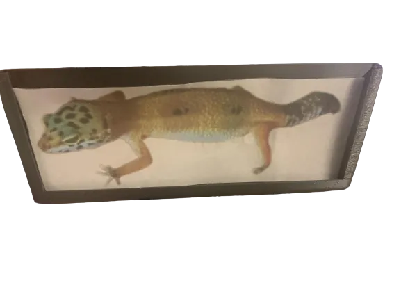 Khung ảnh 2x5 inch - Image 1