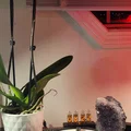 Vườn Thiền Tự Động - Thumbnail 2