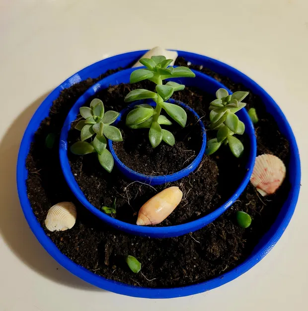 Chén Zien Tròn - Image 1