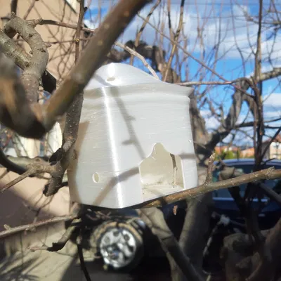 Nhà Chim Neo (Birdhouse Neo)