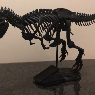 Đế T-rex hình tảng đá có bảng tên