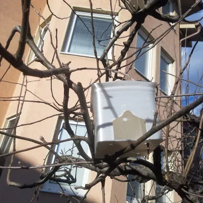 Nhà Chim Neo (Birdhouse Neo)