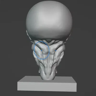 big head muscle man model