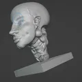 big head muscle man model - Thumbnail 3