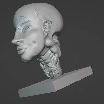 big head muscle man model