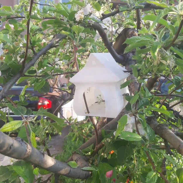 Chuồng chim Longy - Image 7