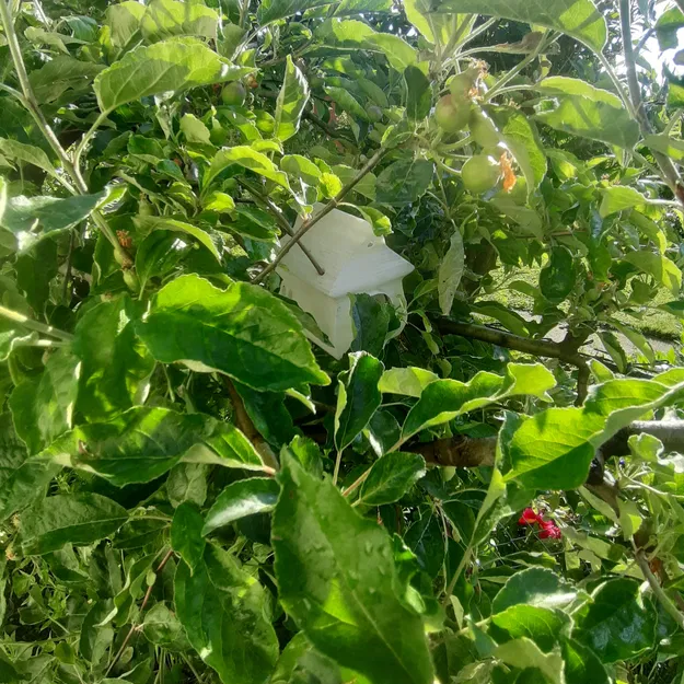 Chuồng chim Longy - Image 9