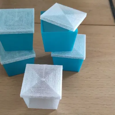 Chậu Ươm Có Nắp Cho Eazy Plug CT77