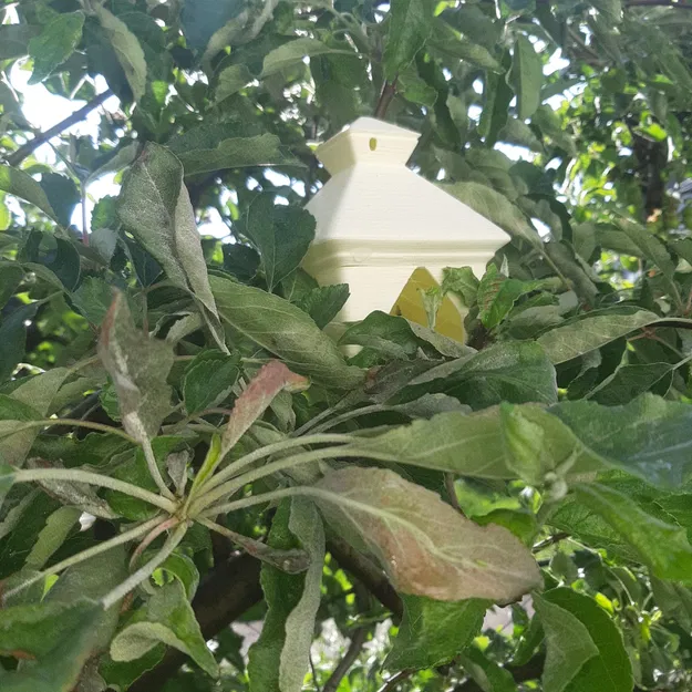 Chuồng chim Longy - Image 10