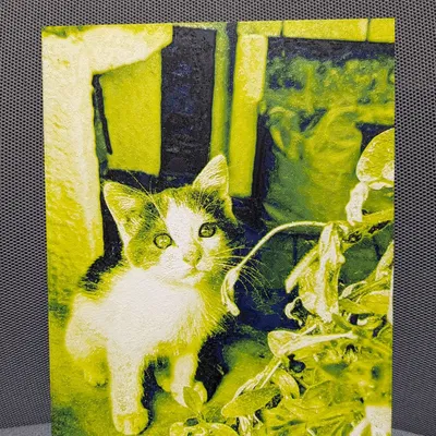 Mô hình Con mèo - HueForge