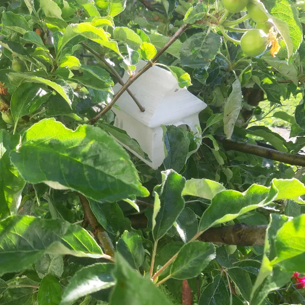 Chuồng chim Longy - Image 11