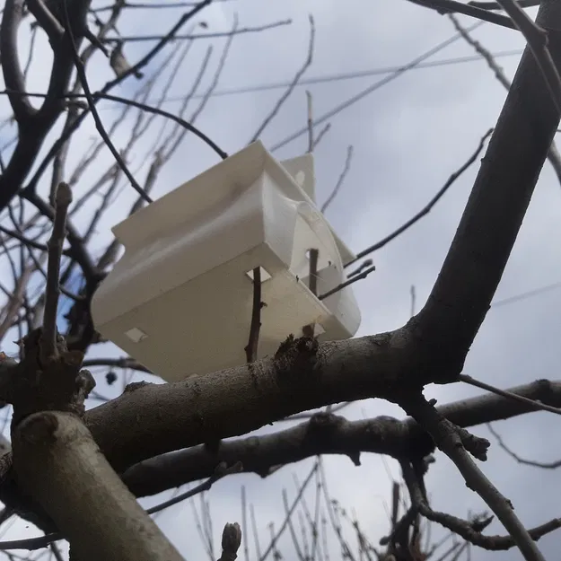 Chuồng chim Longy - Image 12