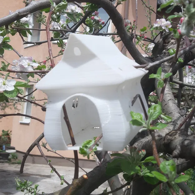 Chuồng chim Longy - Image 13