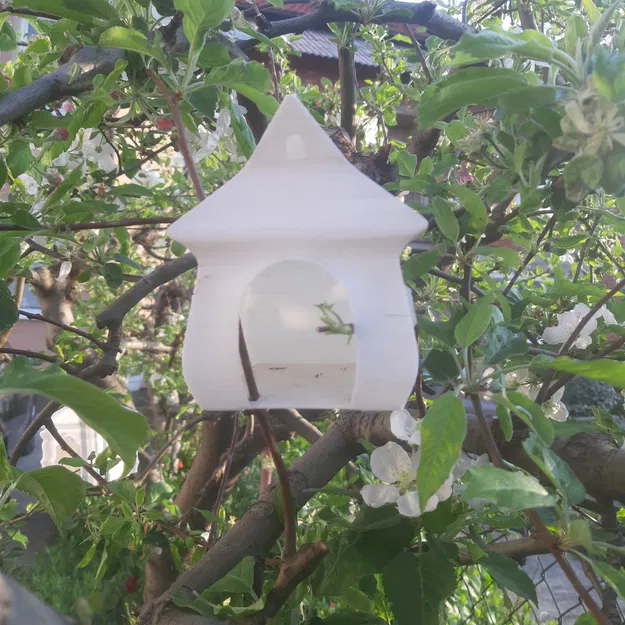 Chuồng chim Longy - Image 16