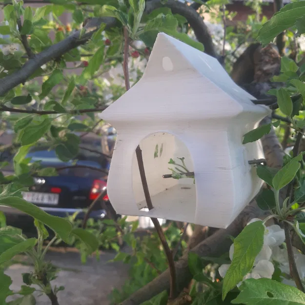 Chuồng chim Longy - Image 17