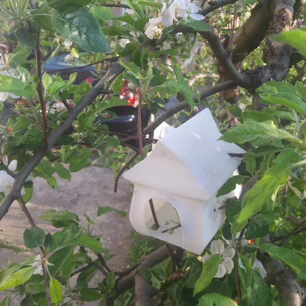 Chuồng chim Longy - Image 18