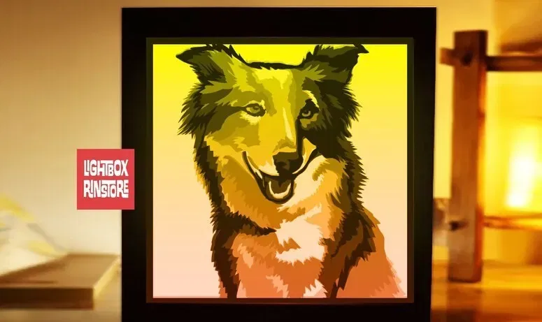 Mô hình Đèn Border Collie 3D - Image 1