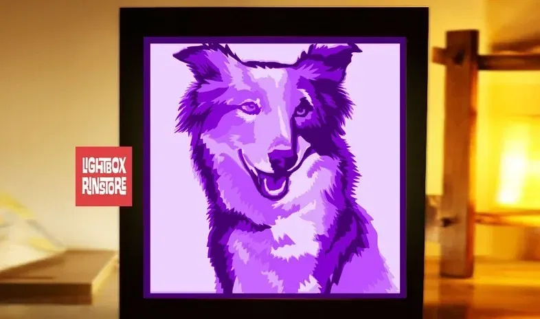 Mô hình Đèn Border Collie 3D - Image 2
