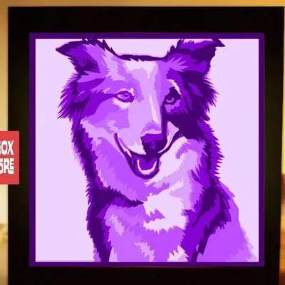Mô hình Đèn Border Collie 3D