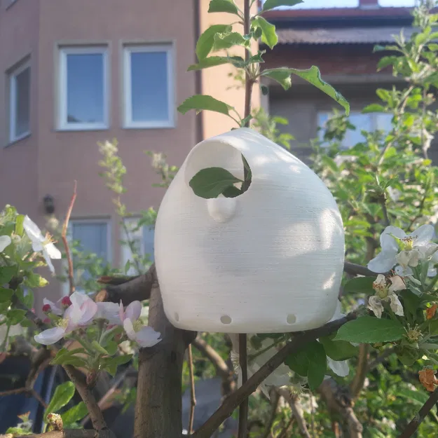 Nhà Bong Bóng (Baloon House) - Image 11