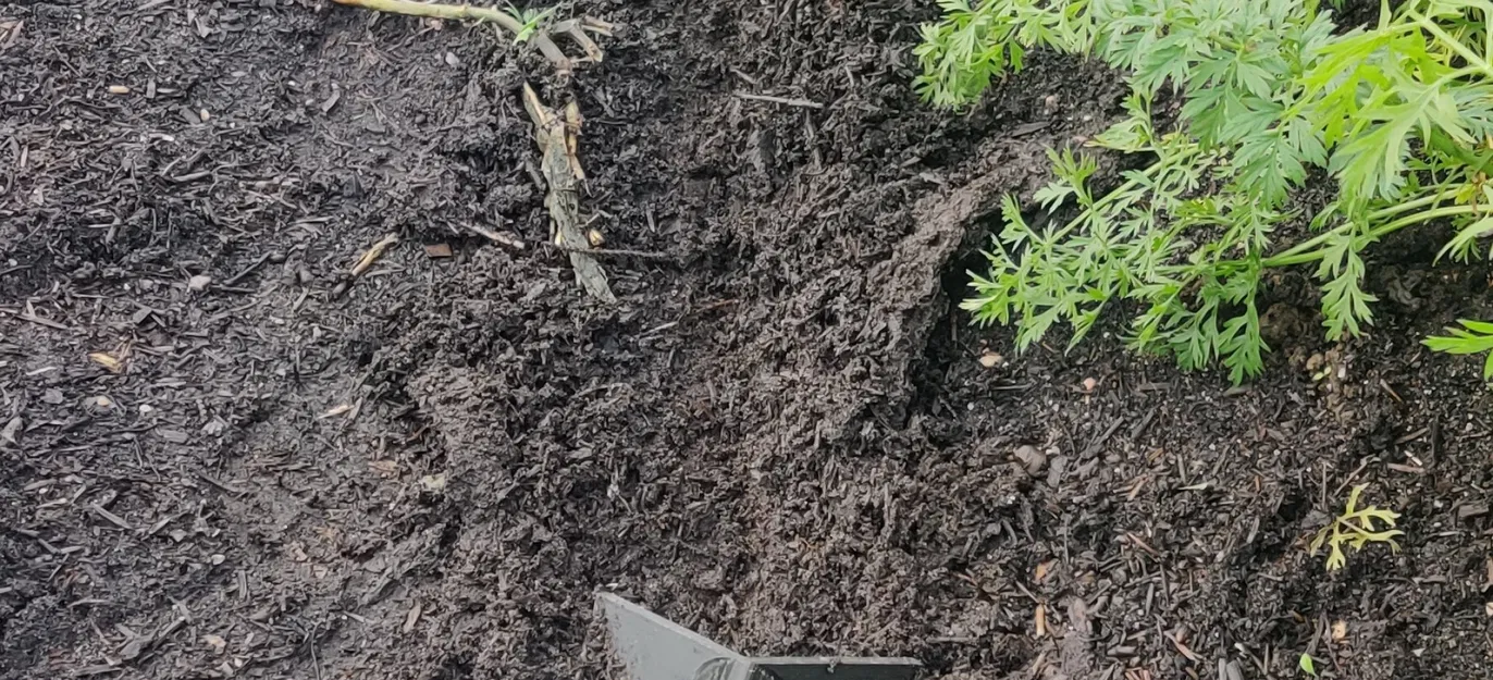 Cái Cày Tay (Handplow) - Image 1