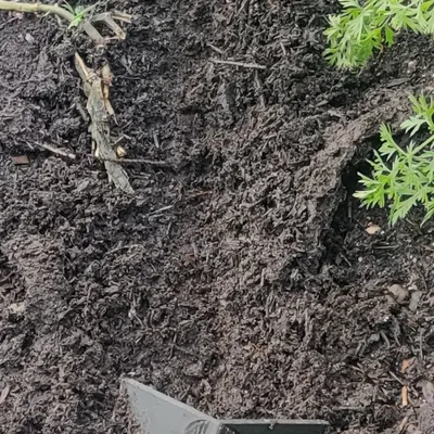 Cái Cày Tay (Handplow)