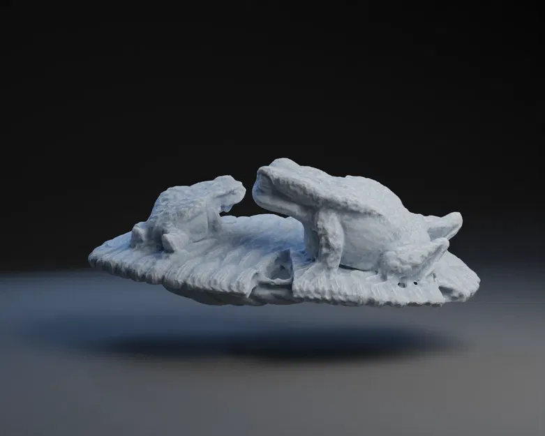 Mô Hình 3D: Hai Con Cóc Trên Củ Súng Nổi - Netsuke - Image 3