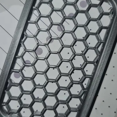 Vỏ Ổ Cứng SSD Western Digital 1TB