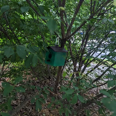 Nhà Chim Geocache - Chốt Đậu Chim