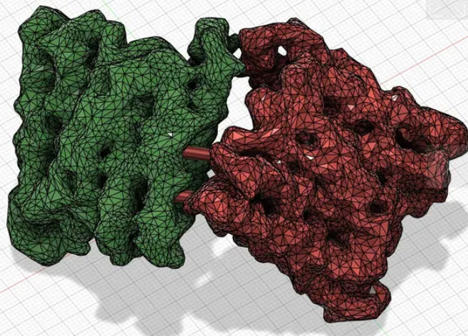 Mô hình Giáo dục: Apoferritin với Đối xứng Bát diện - Image 2