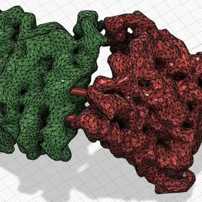 Mô hình Giáo dục: Apoferritin với Đối xứng Bát diện