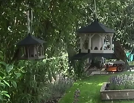 Phần Mở Rộng Đế Cho Nhà Chim Khách Merandey - Image 1