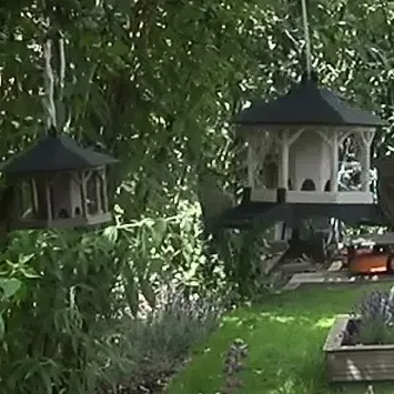 Phần Mở Rộng Đế Cho Nhà Chim Khách Merandey