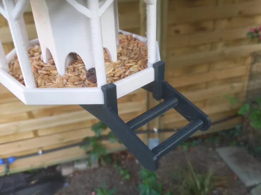 Phần Mở Rộng Đế Cho Nhà Chim Khách Merandey - Image 2