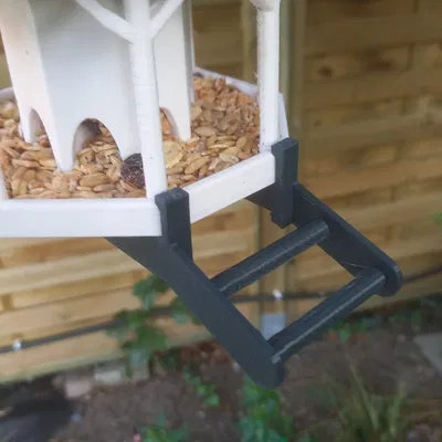 Phần Mở Rộng Đế Cho Nhà Chim Khách Merandey