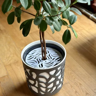 Chân Đế Giữ Đá Cho Chậu Cây