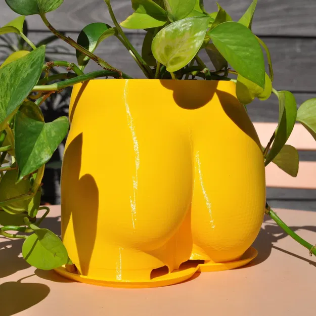 Chậu Trồng Cây Hình Mông 2023 - Image 2