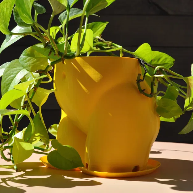 Chậu Trồng Cây Hình Mông 2023 - Image 3