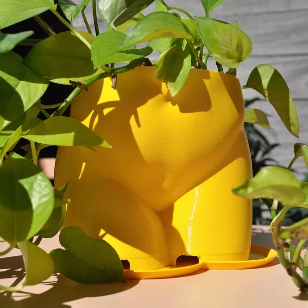 Chậu Trồng Cây Hình Mông 2023 - Image 4