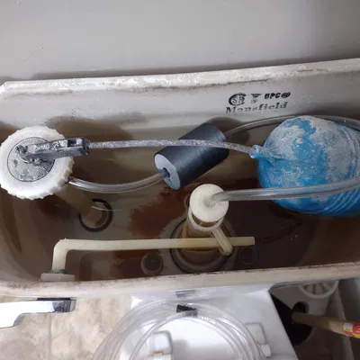 Phụ Kiện Vệ Sinh Bồn Cầu