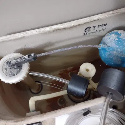 Phụ Kiện Vệ Sinh Bồn Cầu