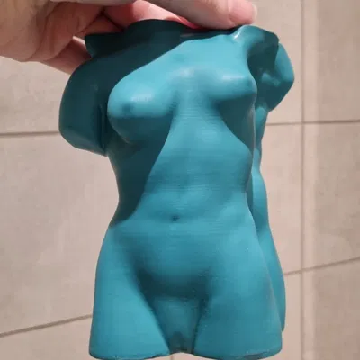 Lọ Hoa Hình Thân Người Nam & Nữ