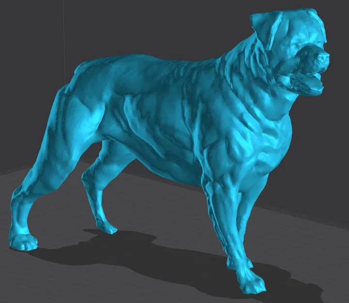 Pepe Chó Rottweiler - Image 2