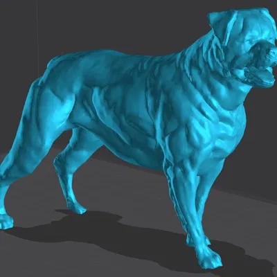 Pepe Chó Rottweiler