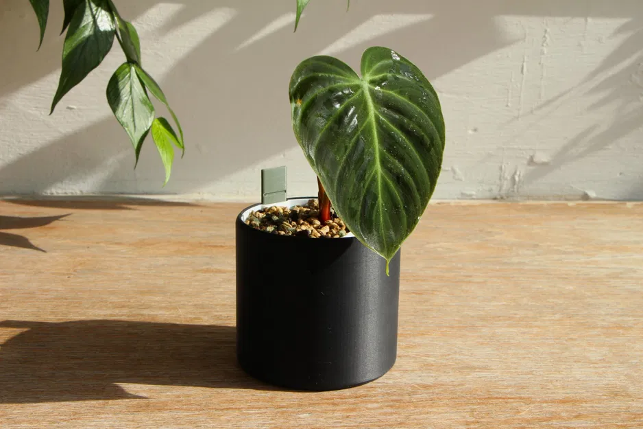 Self Watering Plant Pot - Image 2