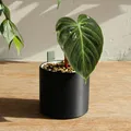 Self Watering Plant Pot - Thumbnail 2