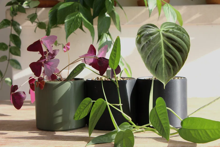 Self Watering Plant Pot - Image 4