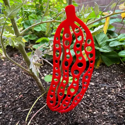 Giá Đỡ Cây Dưa Leo - Cọc Hỗ Trợ Vườn, Thẻ Đánh Dấu