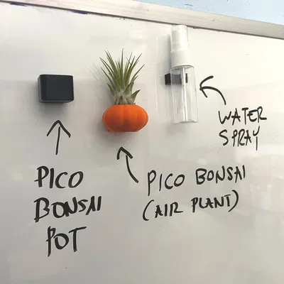 Pico Bonsai: Hanging gardens for Whiteboards, Fridges or any magnetic surface.